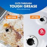 Lysol Pro Kitchen Cleaner Spray, Citrus, 22oz