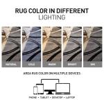 Wavy Circles Area Rug - Fade-Resistant Gray 5'3" x 7'3