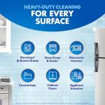 Lysol Pro Kitchen Cleaner Spray, Citrus, 22oz