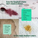 Sunny & Honey Pet Carpet Shampoo - 32 Fl Oz