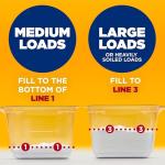 Arm & Hammer Unscented Laundry Detergent Powder