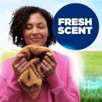 Arm & Hammer OxiClean Laundry Detergent, Fresh Scent