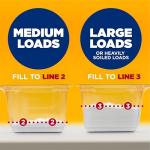 Arm & Hammer OxiClean Laundry Detergent, Fresh Scent