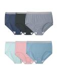 Fruit of the Loom Plus-Size Heather Briefs, 6 Pack