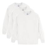 Hanes Boys Tagless Long Sleeve Tees - 3 Pack