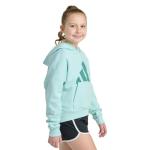 adidas Girls Colorblock Fleece Hoodie - Halo Mint