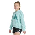 adidas Girls Colorblock Fleece Hoodie - Halo Mint