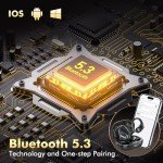 Bluetooth Wireless Earbuds with 80hrs Playback