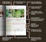 250 Powerful Remedies from Forgotten Home Apothecary