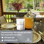 Yeast Nutrient DAP for Beer and Wine Brewing