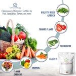 Yeast Nutrient DAP for Beer and Wine Brewing