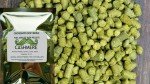 100g Premium Home Brew Hops: Citra, Mosaic, Simcoe