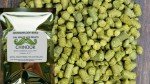 100g Premium Home Brew Hops: Citra, Mosaic, Simcoe