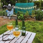 10L Cider Making Kit for Beginners