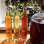 Premium Mead Kit with Journal & Recipes – Makes 6 Bottles