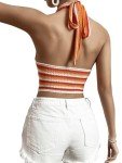 Colorblock Striped Tie Back Halter Crop Top