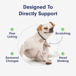 Allergy & Immune Probiotics for Dogs - 30 Chews