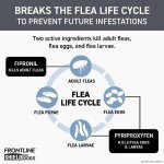 Frontline Shield Flea & Tick Treatment for Large Dogs