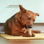 Rachael Ray Nutrish Long Lasting Dog Chews Pack