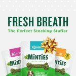 Minties Dental Chews for Medium Dogs - 60 Count