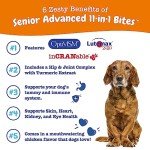 Zesty Paws Senior Multivitamin Treats for Dogs