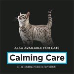 Purina Pro Plan Calming Care Dog Supplements - 30 ct