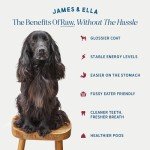 James & Ella Freeze-Dried Raw Dog Food - Beef