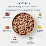 James & Ella Freeze-Dried Raw Dog Food - Beef