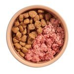 Nature's Menu Salmon & Potatoes Dog Biscuits 2kg