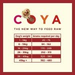 COYA Hypoallergenic Freeze-Dried Beef Dog Food 750g