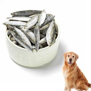 Premium Frozen Whole Sprats Dog Treats - 3kg