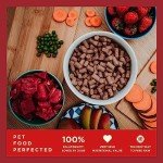 COYA Hypoallergenic Freeze-Dried Beef Dog Food 750g