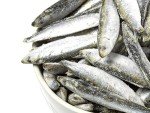 Premium Frozen Whole Sprats Dog Treats - 3kg