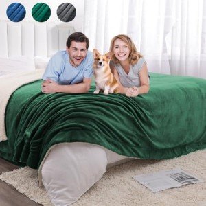 Waterproof Queen Size Blanket for Dogs and Couples