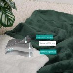 Waterproof Queen Size Blanket for Dogs and Couples