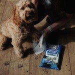 Pet Cloth Wipes Bundle - 160 Eco-Friendly Wipes