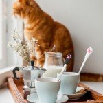 Sibba Stainless Steel Pet Food Scoop Set