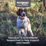 Nutramax Dasuquin Joint Supplement for Small Dogs