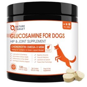 Glucosamine Joint Supplement Chews for Dogs