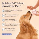 Pawfy Hip & Joint Chews for All Dog Sizes