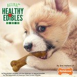 Nylabone Natural Puppy Chews - Roast Beef & Apple