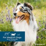 Wondercide Flea & Tick Spot On for Dogs