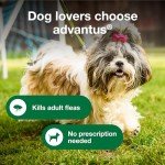 Advantus Chewable Flea Treatment for Small Dogs