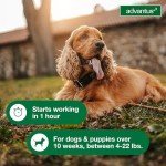 Advantus Chewable Flea Treatment for Small Dogs
