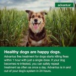 Advantus Chewable Flea Treatment for Small Dogs