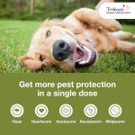 Trifexis Heartworm & Flea Chewables for Dogs
