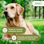 Trifexis Heartworm & Flea Chewables for Dogs