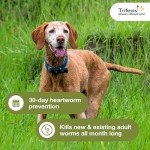 Trifexis Heartworm & Flea Chewables for Dogs