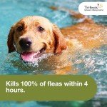 Trifexis Heartworm & Flea Chewables for Dogs