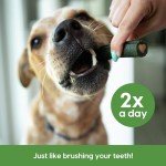 ARK Naturals Brushless Toothpaste Dog Chews for Large Breeds